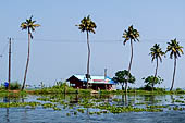 Kerala backwaters, travelling the neighborhood by public ferry service from  Alleppey to Kumbakonam. 